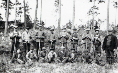 Skogsplantering på Björksund, 1920-tal