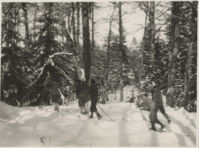 Elever åker skidor i skogen, Solbacka Läroverk, 1931