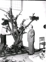 Blomsterutställning 1952