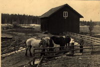 Ekonomibyggnad med hästar, Granboda