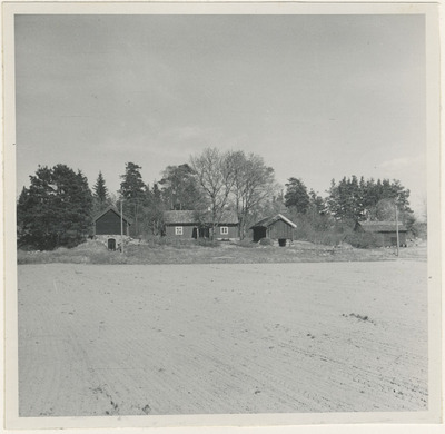 Åker vid Biartorp, 1949