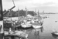 Fiskhamnen i Oxelösund