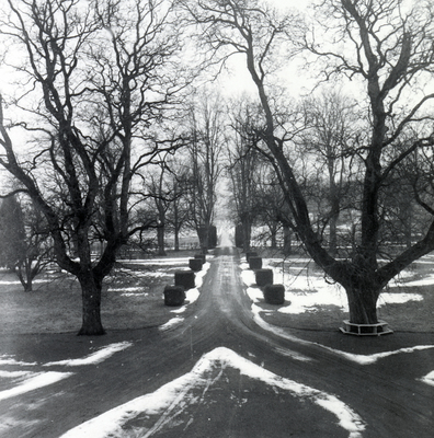 Täckhammar år 1955