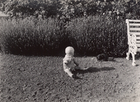 Bo Helmer med en kattunge  1934