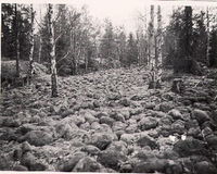 Rullstensfält, klapperstensfält i Kolmården år 1939
