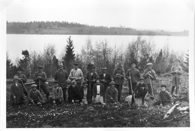 Skogsplantering på Kattnäset, 1940-tal