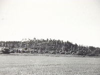 Hultberget i Husby-Rekarne år 1976