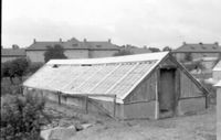 Växthus på Sundby sjukhusområde i Strängnäs 1986