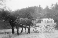 Transport av mjölkkannor med häst och vagn