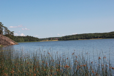 Rundbosjön vid Nynäs