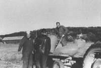 Knut Jansson och sommargäster lastar säd vid Stäket i Sorunda socken omkring 1960