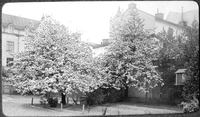 Westlindska gården i Nyköping, tidigt 1900-tal