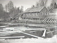 Skogsbruk med skogsindustri