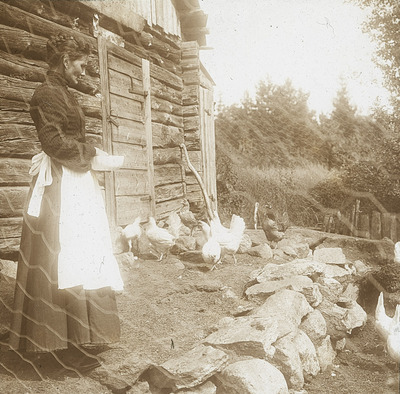 En kvinna vid hönshuset på Grönbrink, 1900-tal