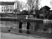 Fiskbron vid Nyköpingsån, 1957