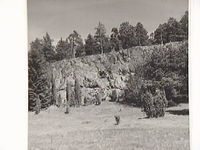 Berg vid Tavesta år 1963