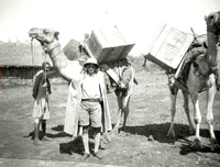 Historikern Mesfin Araja med kameler, Etiopien 1935-1936