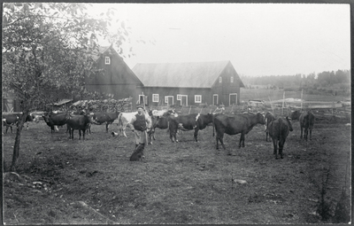 Alfred Eriksson på Enby, 1920-tal