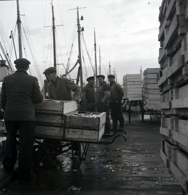 Fiske i Nyköpings hamn