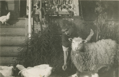 Lisa Hall med ett får och höns