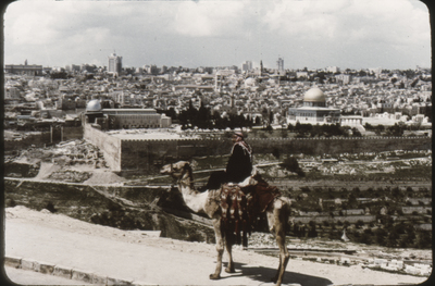 Vy från Olivberget i Jerusalem år 1987, man på kamel