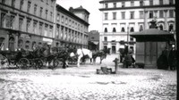 Hästskjutsar i stadsmiljö