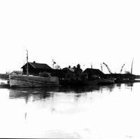 Fiskebåtar i Nyköpings hamn, 1982