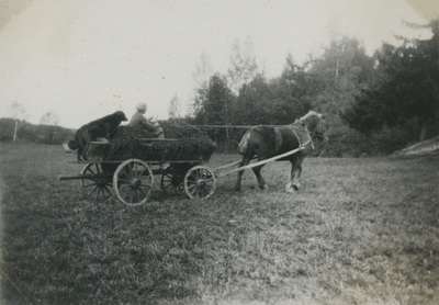 Karin Hall kör häst och vagn, 1933