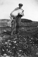 Dräng med gris på Stångby, slutet 1920-tal