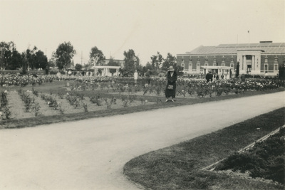 Exposition Park Rose Garden, Los Angeles USA