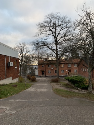 Skolbyggnader, Europaskolan Rogge i Strängnäs, hösten 2022