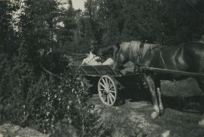 Häst och vagn i skogen, 1931