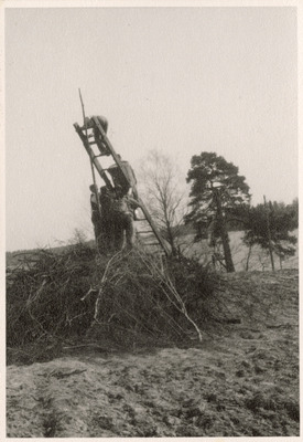 Elever från Solbacka Läroverk bygger ett bål vid Kyrksjön vid Stjärnhov, 1934