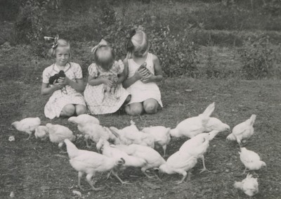 Tre barn med kycklingar och höns