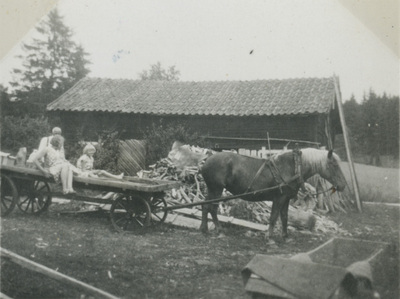 Familjen Liljekvist åker häst och vagn, 1932